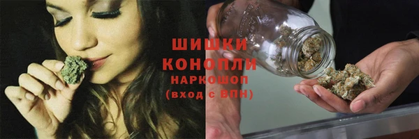 мдпв Богородск