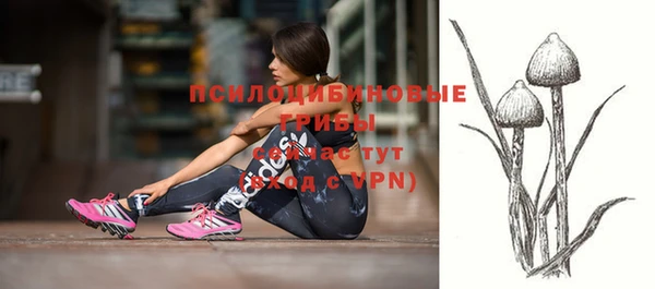 мдпв Богородск