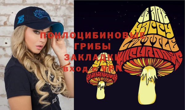 мдпв Богородск