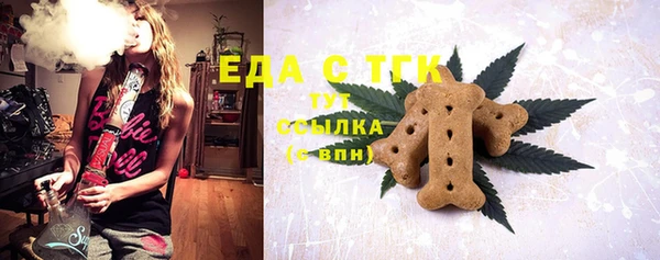 мдпв Богородск