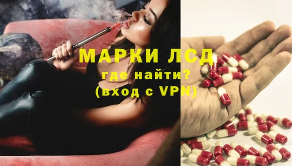 мяу мяу мука Богданович