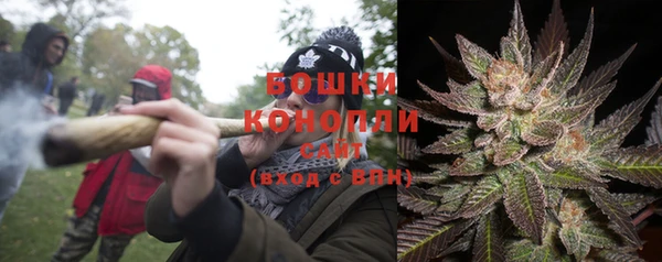 мдпв Богородск