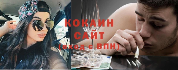 мдпв Богородск