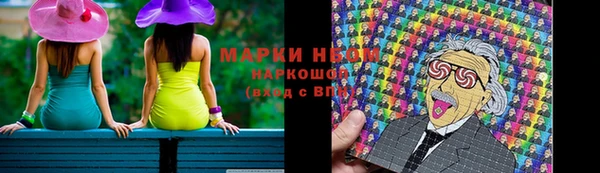 мдпв Богородск